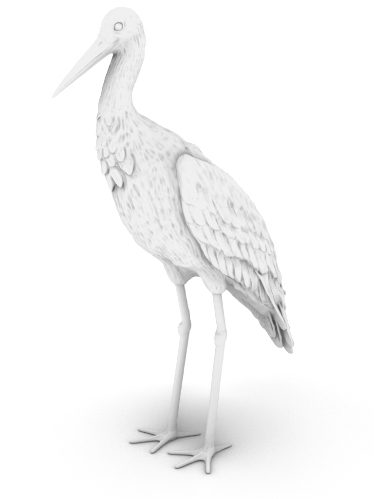   Storch Selma (stehend)