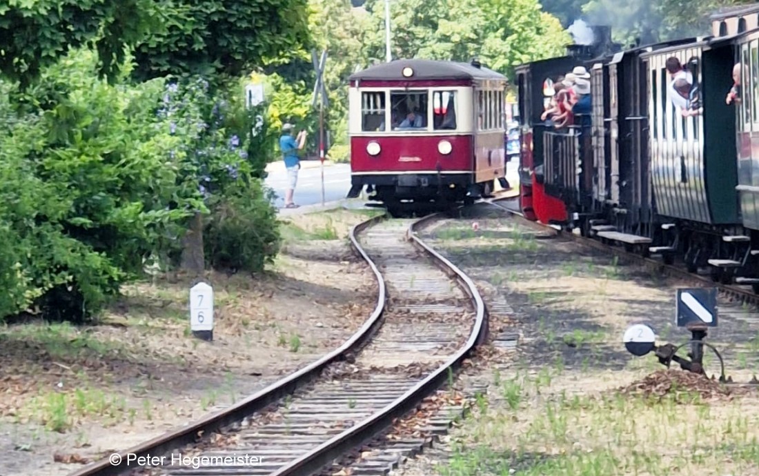 Den Bilderreigen er�ffnen wir nicht mit der bekannten Spreewald sondern mit dem Triebwagen T42 DEV-Triebwagen (ex. DR VT 137 532). Hier neben dem Museumszug mit der Dampflok. 