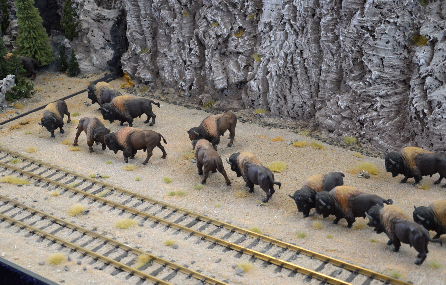 Die Bisonherde auf der Mount Rushmore US Anlage 