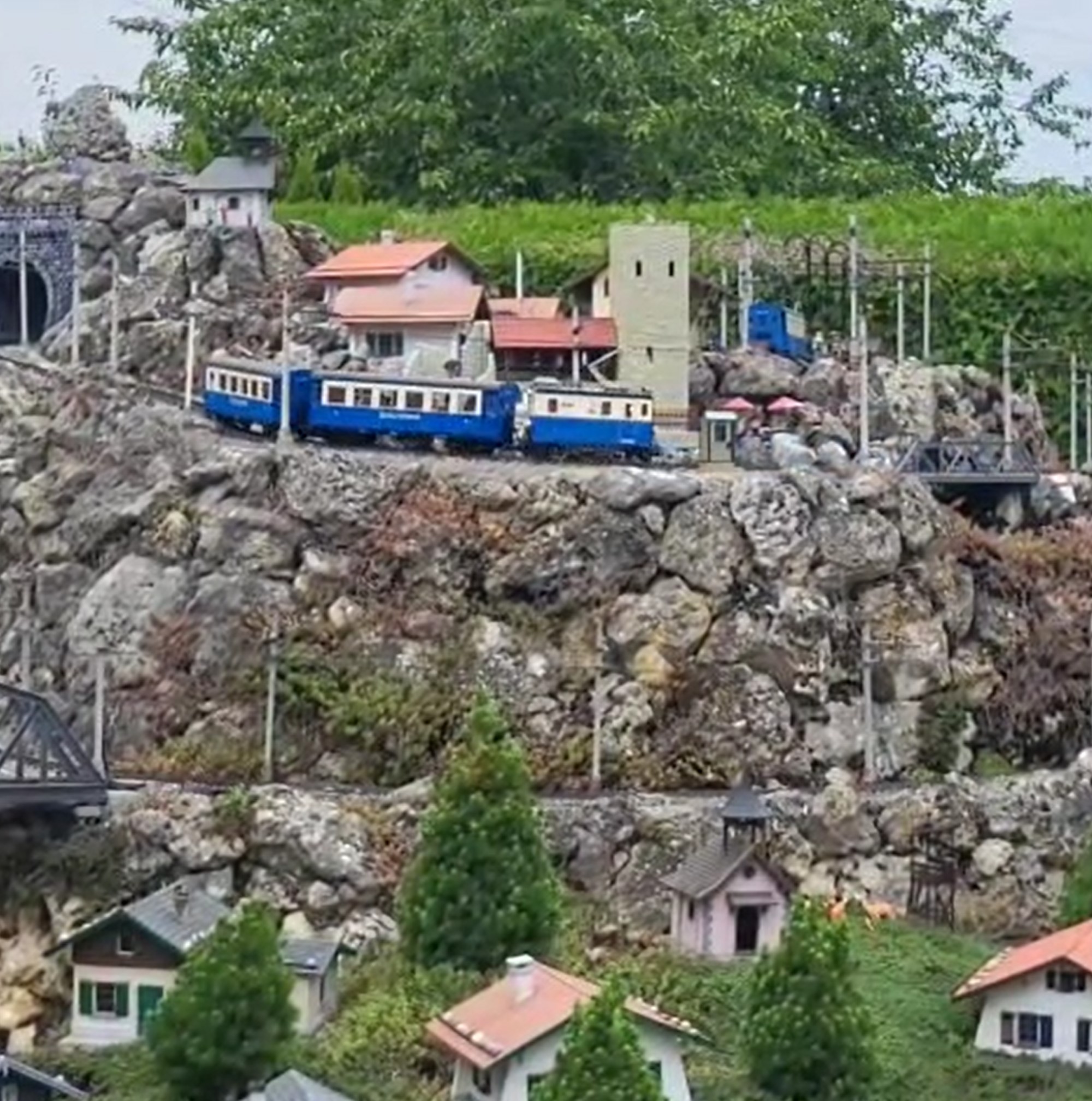 Imposant ist der Berg mit Burgruine und der Zahnradbahn in der Ecke des Gartens angelegt. Eine Pendelautomatik macht das reibungslose Fahren der Zge von Oben nach Unten - und umgekehrt - mglich. 