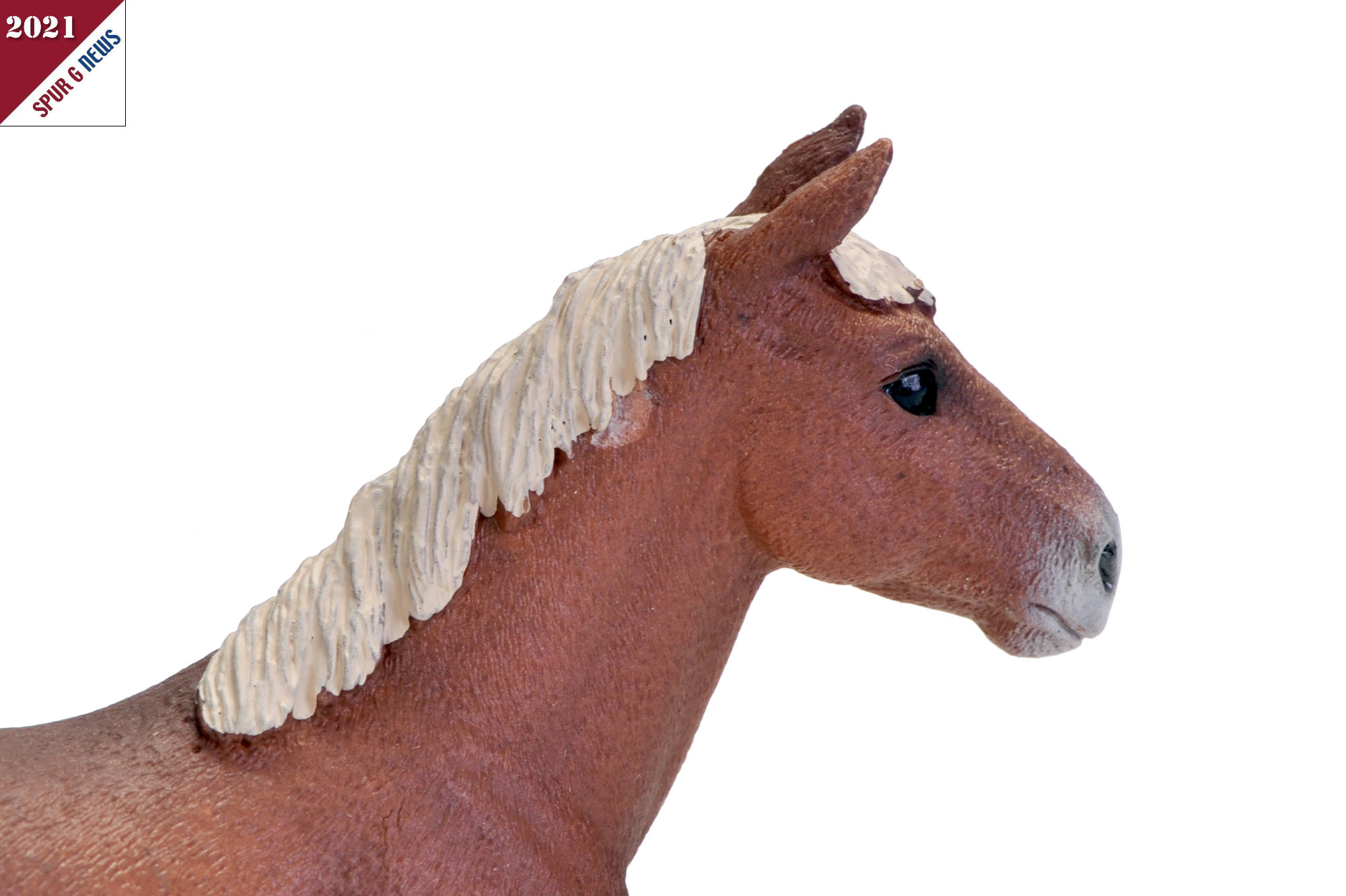 Schleich - Art. Nr. 13869 - Morgan Horse Hengt mit heller, kurzer Mhne.