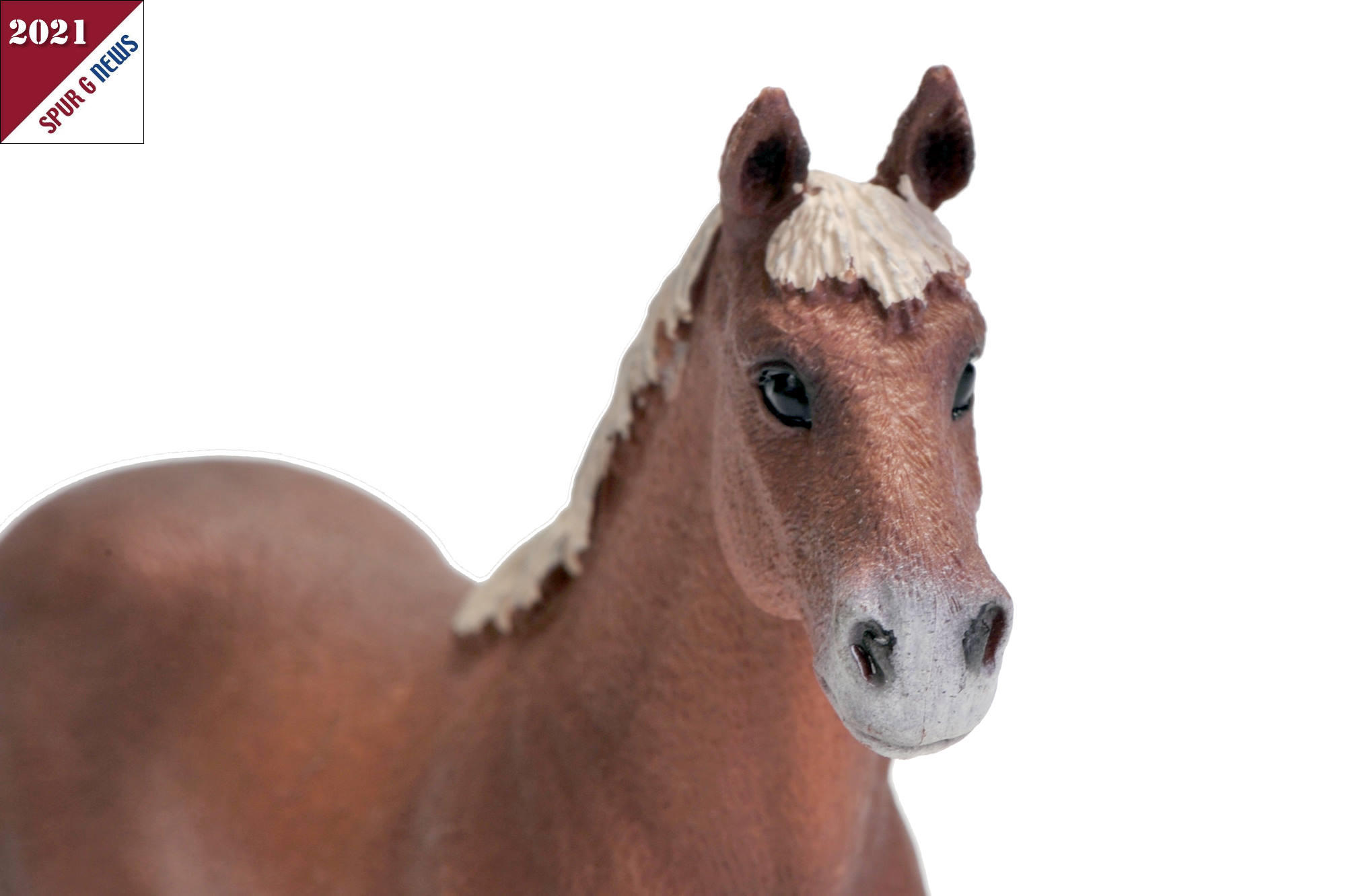 Schleich - Art. Nr. 13869 - Morgan Horse Hengt mit heller, kurzer Mhne.