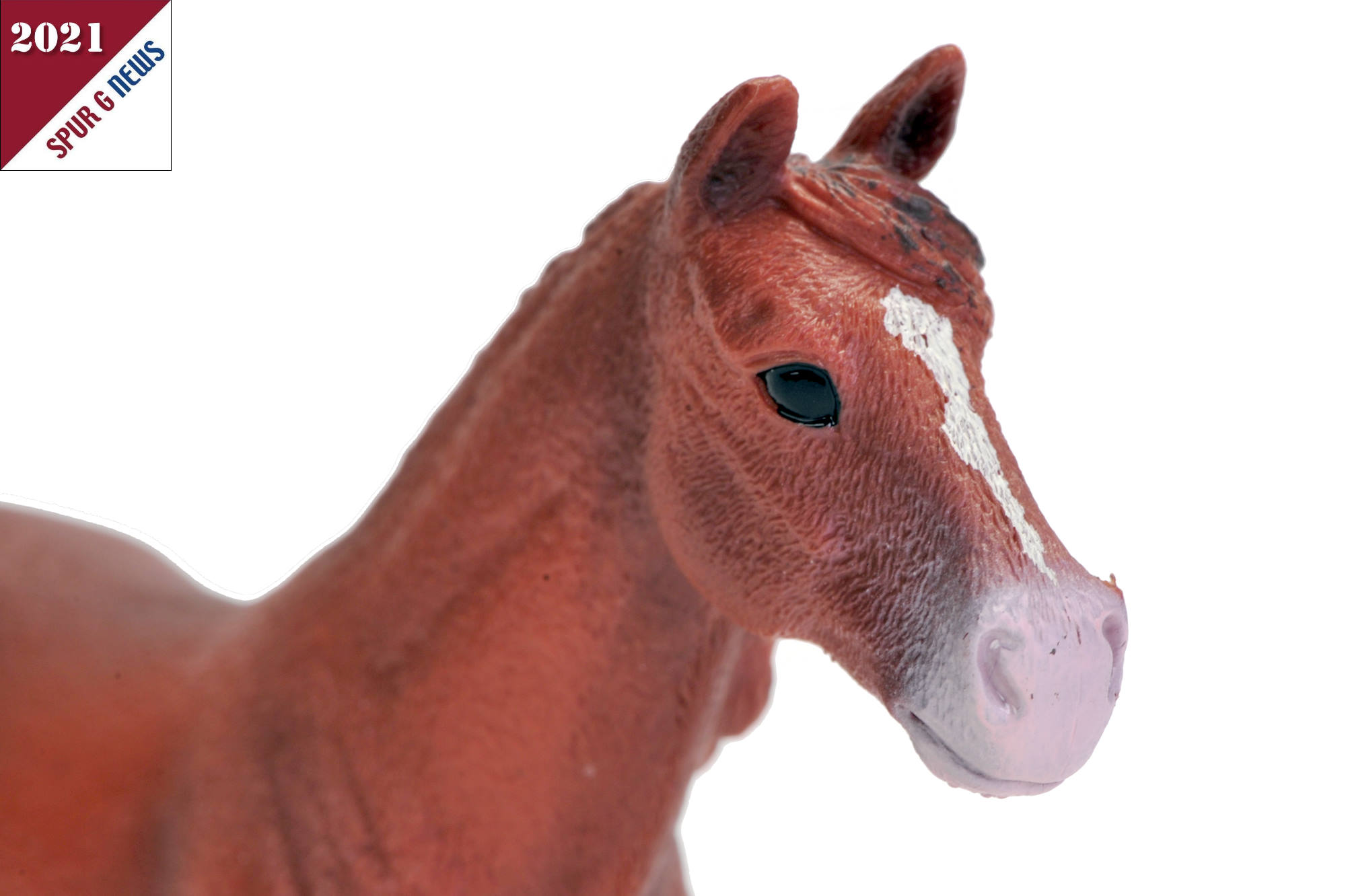 Schleich - Art. Nr. 13870 - Morgan Horse Stute - auch hier das Maul und die Nstern sehr rosa! 