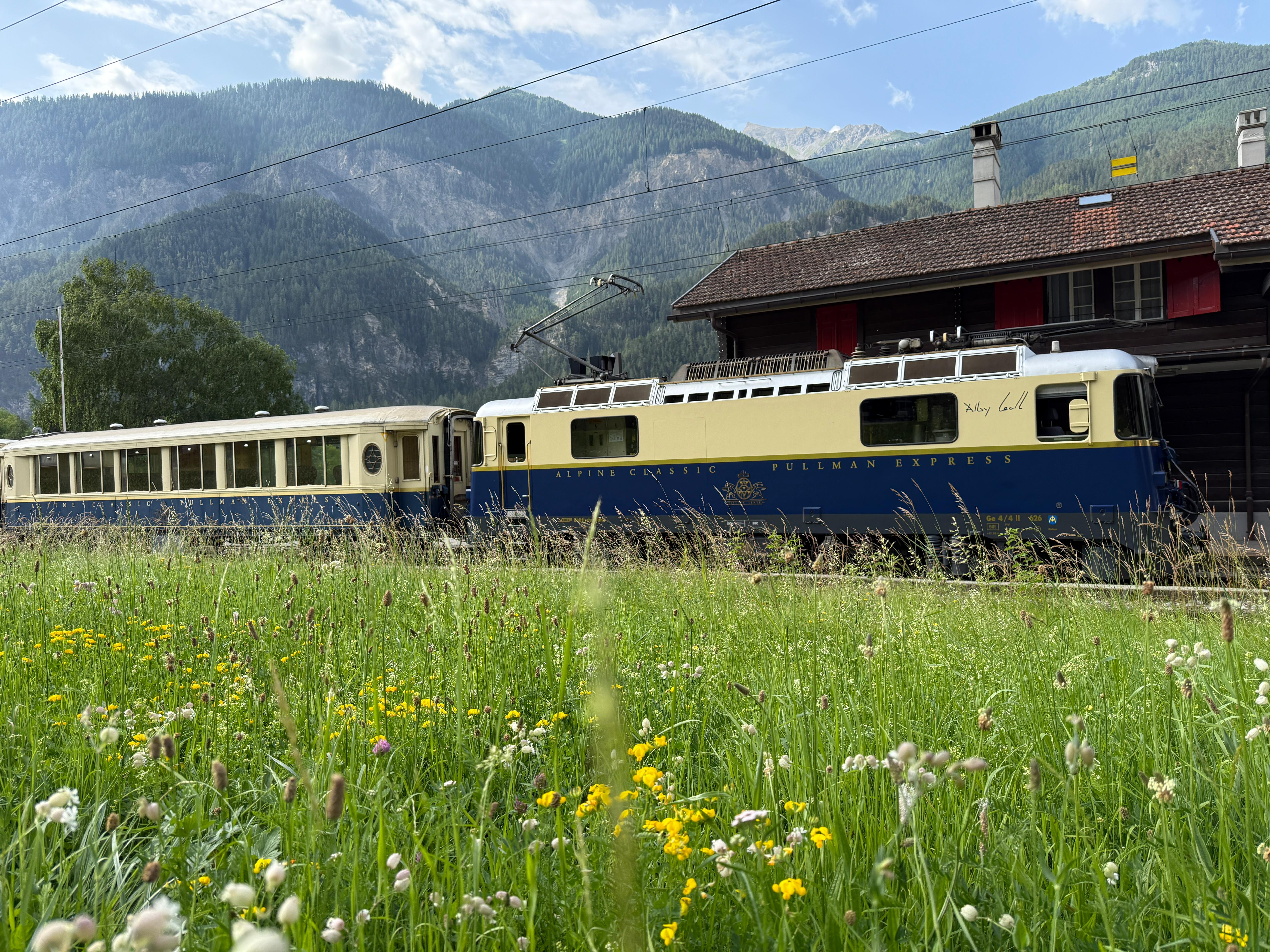 Pullman-Lok vom Typ Ge 4/4 II 626 mit einem Salonwagen. Davor die blühende Almwiese in Graubünden.