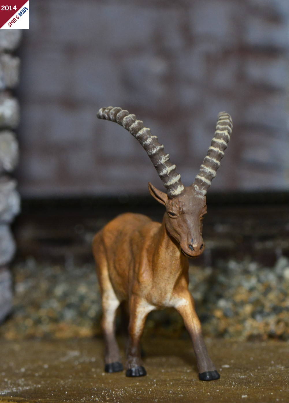 Dieser stattliche Steinbock ist uns in zwei Meter Hhe vor einem Tunnelportal aufgefallen. Er blieb da einfach unbeeindruckt "stehen", als die Schafbergbahn mit der Lok 17 und den beiden Wagen durchs Tunnel fuhr.