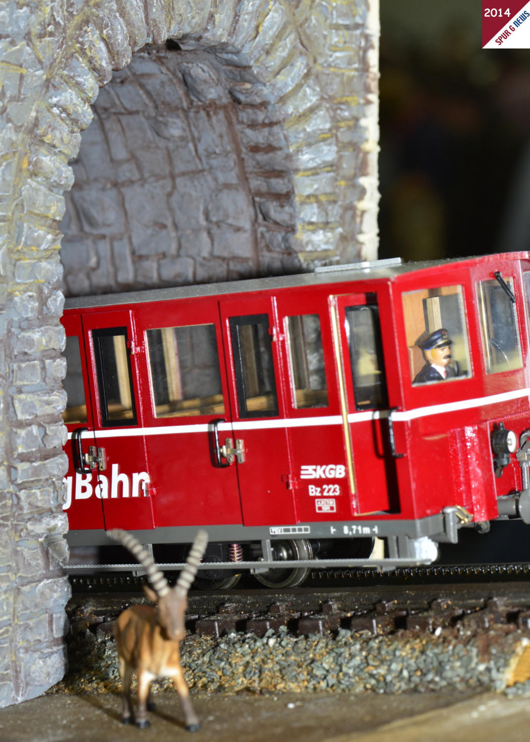 Dieser stattliche Steinbock ist uns in zwei Meter Hhe vor einem Tunnelportal aufgefallen. Er blieb da einfach unbeeindruckt "stehen", als die Schafbergbahn mit der Lok 17 und den beiden Wagen durchs Tunnel fuhr.