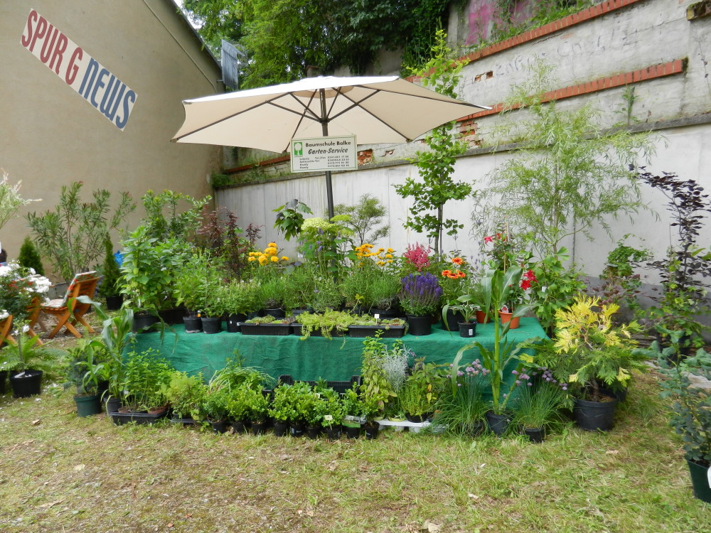 Wichtig ist auch das richtige bepflanzen der Gartenbahnanlage. Auch hier konnte gleich der BEWUCHS in hervorragender Qualitt mitgenommen werden. 