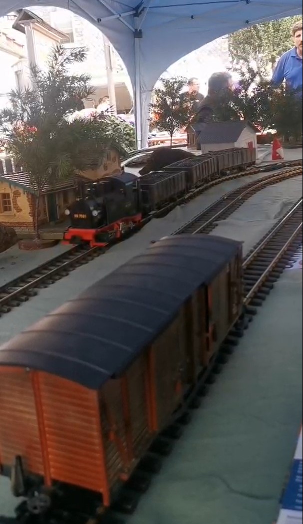 Kurzfilm von der Fahrt der Dampflok mit Erzgüterwagen. Wendehammer Richtung Modellbahnstudio Raab.