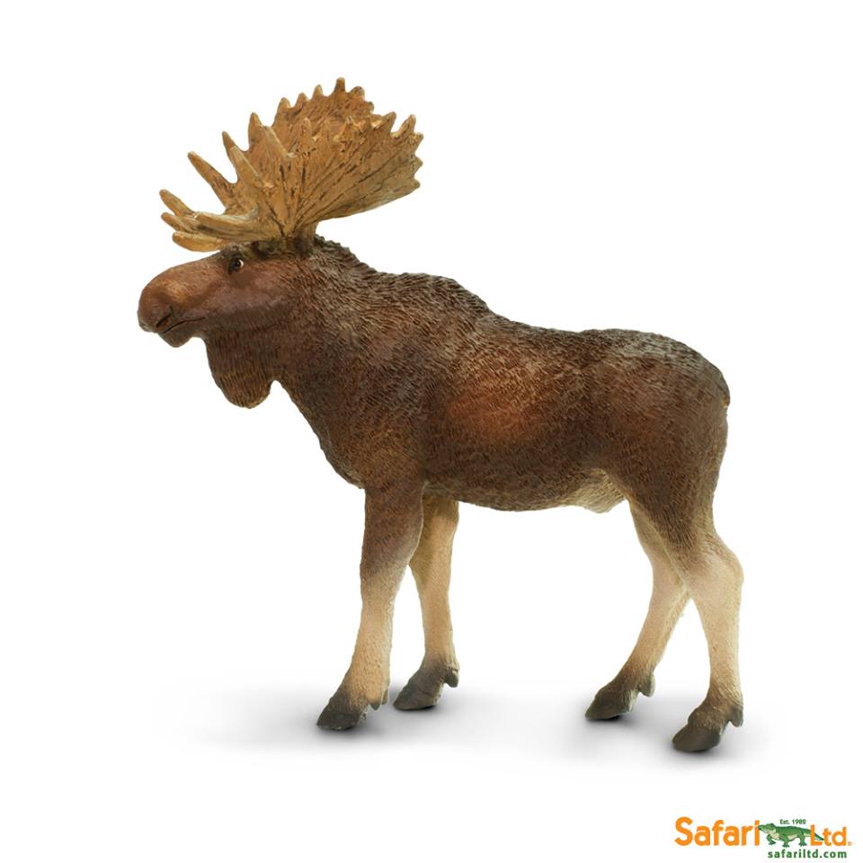 Neuheit 2015 von Safari Ltd.- Bull Moose - Elchbulle - Art. Nr. 181029