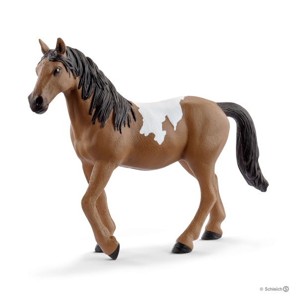 Schleich Artikelnummer: 13814: , Mit drei Jahren sind Haflinger-Fohlen bereits fast ausgewachsen. Bis zu ihrem fnften Lebensjahr knnen sie aber noch einmal drei bis sechs Zentimeter zulegen.