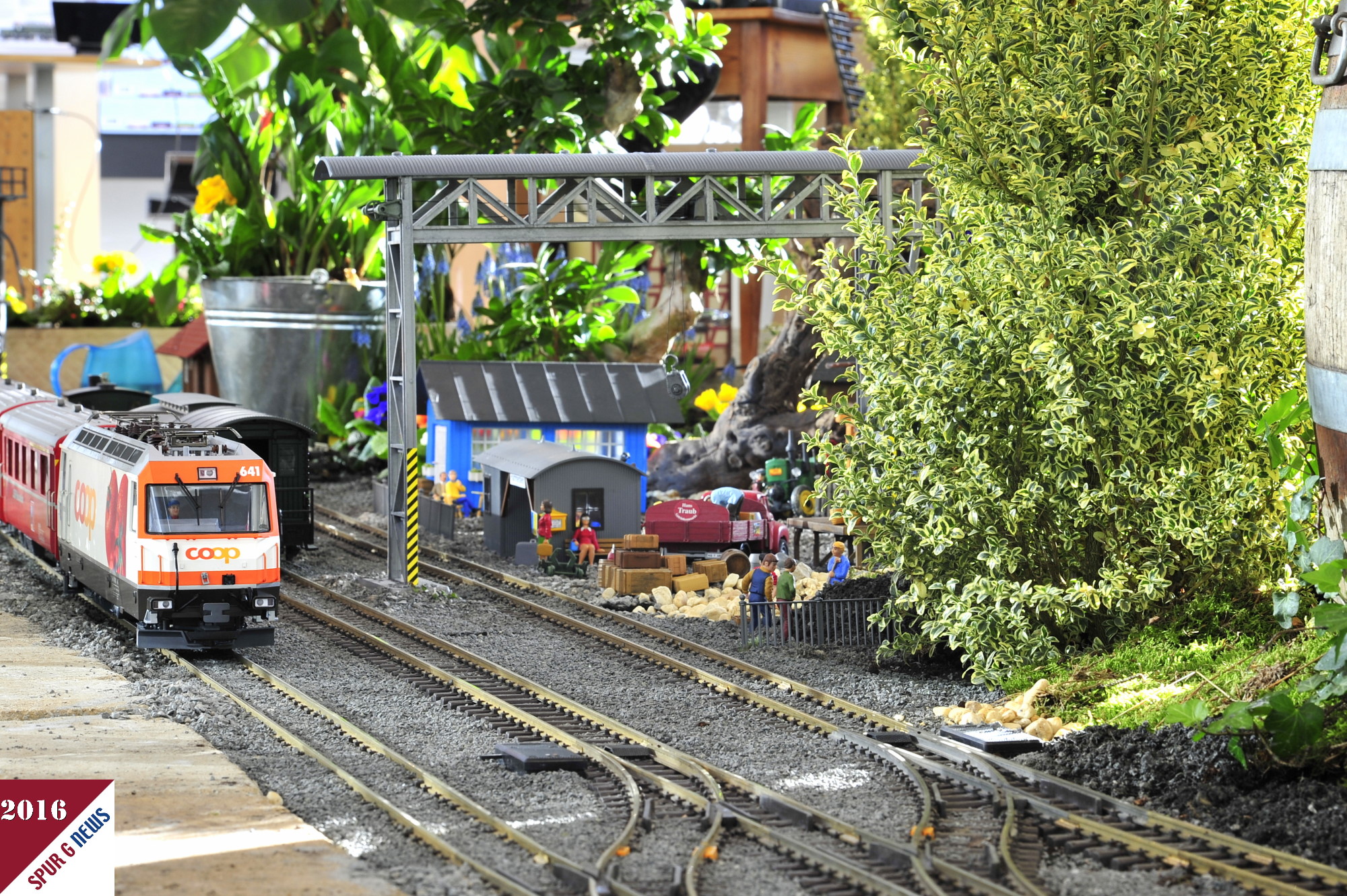 Der Gartenanteil der Anlage von LGB auf der Spielwarenmesse 2016. Die neue Coop Lokomotive "Tomate", eine Ge 4/4 III der RhB, wird auf dem Oval durch Garten und Bro die nchsten Tage Ihre Kreise ziehen. Auch Neuheiten 2016 von POLA / Faller sind bereits hier zu sehen. Art. Nr. 330895 - Haltepunkt "Hammerstein", der Bockkran - Art.Nr. 330917 und das Schrebergartenhaus in hellblau - Art. Nr. 331788. Der LKW ist bereits aus den Vorjahren.  