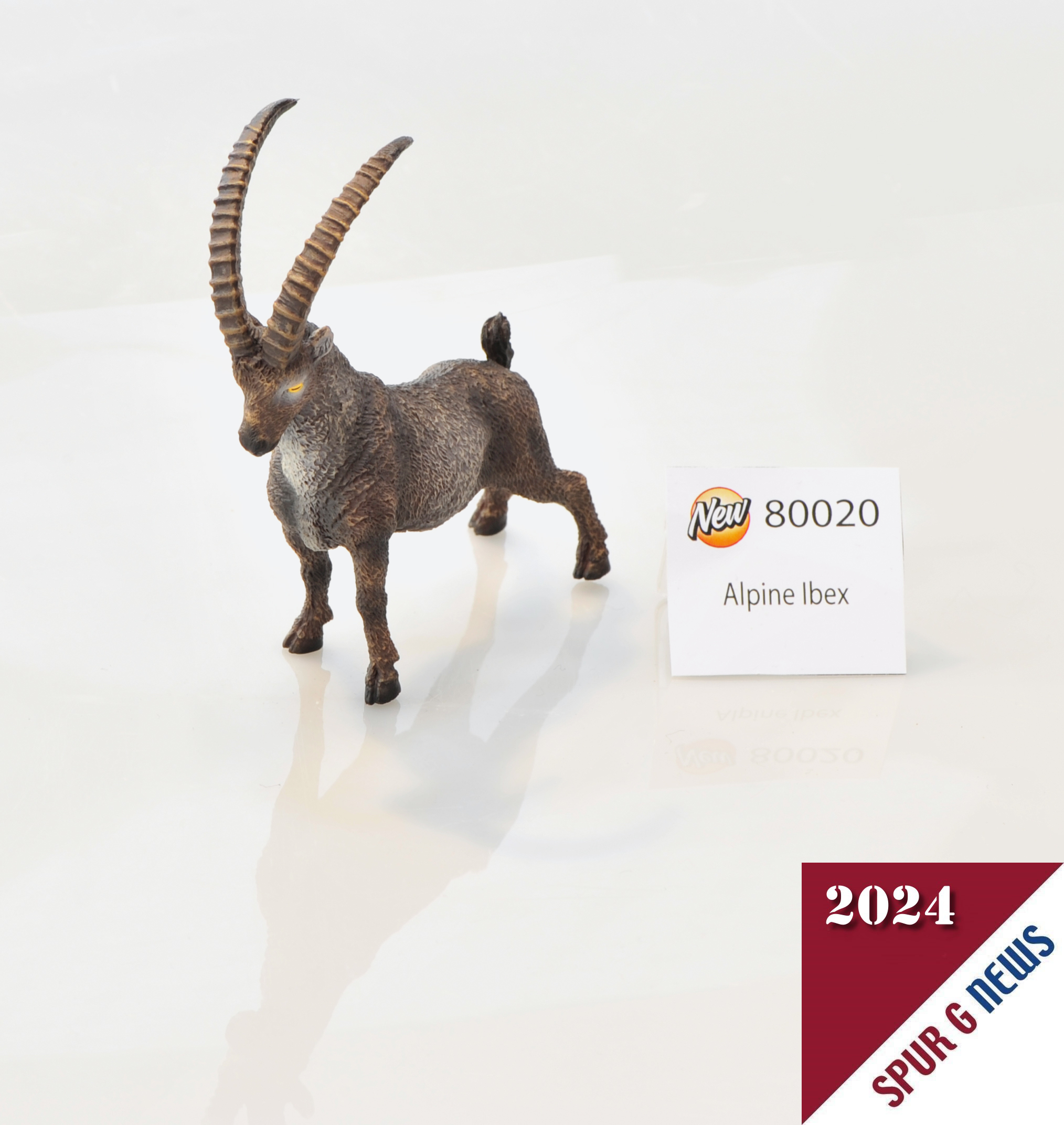 Eine Neuheit mit neuer Form: der Steinbock von CollectA. Erscheint Mitte des Jahres 2024 unter der Art. Nr. 80020. 