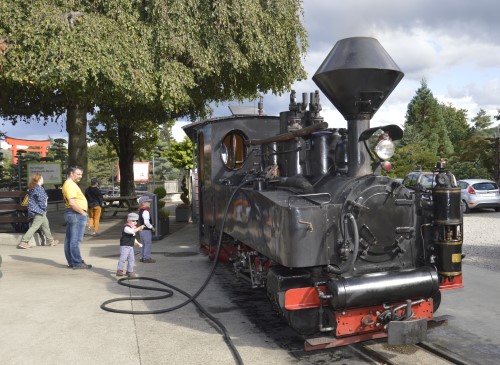 Schinznach die Dritte - am 6. un 7. September 2025 gibt es ein neues Fest bei der Baumschulbahn in Schinznach und im Gartencenter Zulauf. 