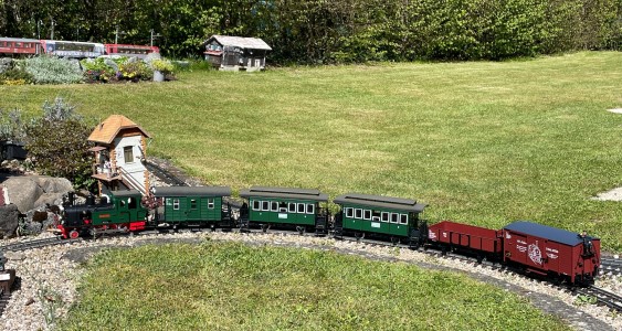 DEV Zug mit Spreewald Dampflok und 5 Wagen. 