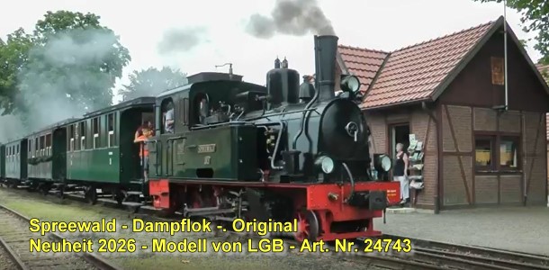 Dampflok Spreewald der DEV - Vorbild