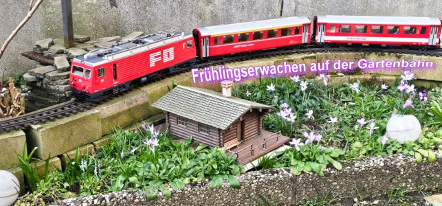 Fruehlingserwachen auf der Gartenbahn bei Thomas mit der FO 101 LGB 23101!