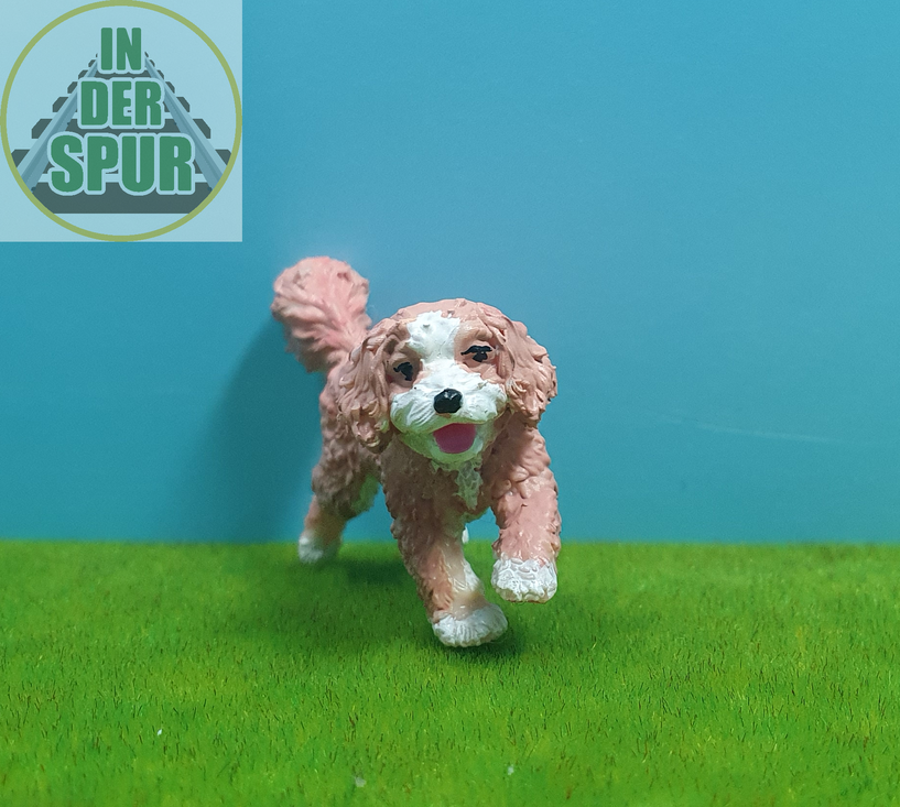 Kleiner Hund Luna, Verspielt laufend, Handbemalte Tierfigur, Farbvariante I, Spur G · Maßstab 1:22,5, Verfügbarkeit: sofort lieferbar, Artikel-Nr.: 071-G-LUNI-F, Preis: 14,90 € inkl. MwSt., zzgl. Versand