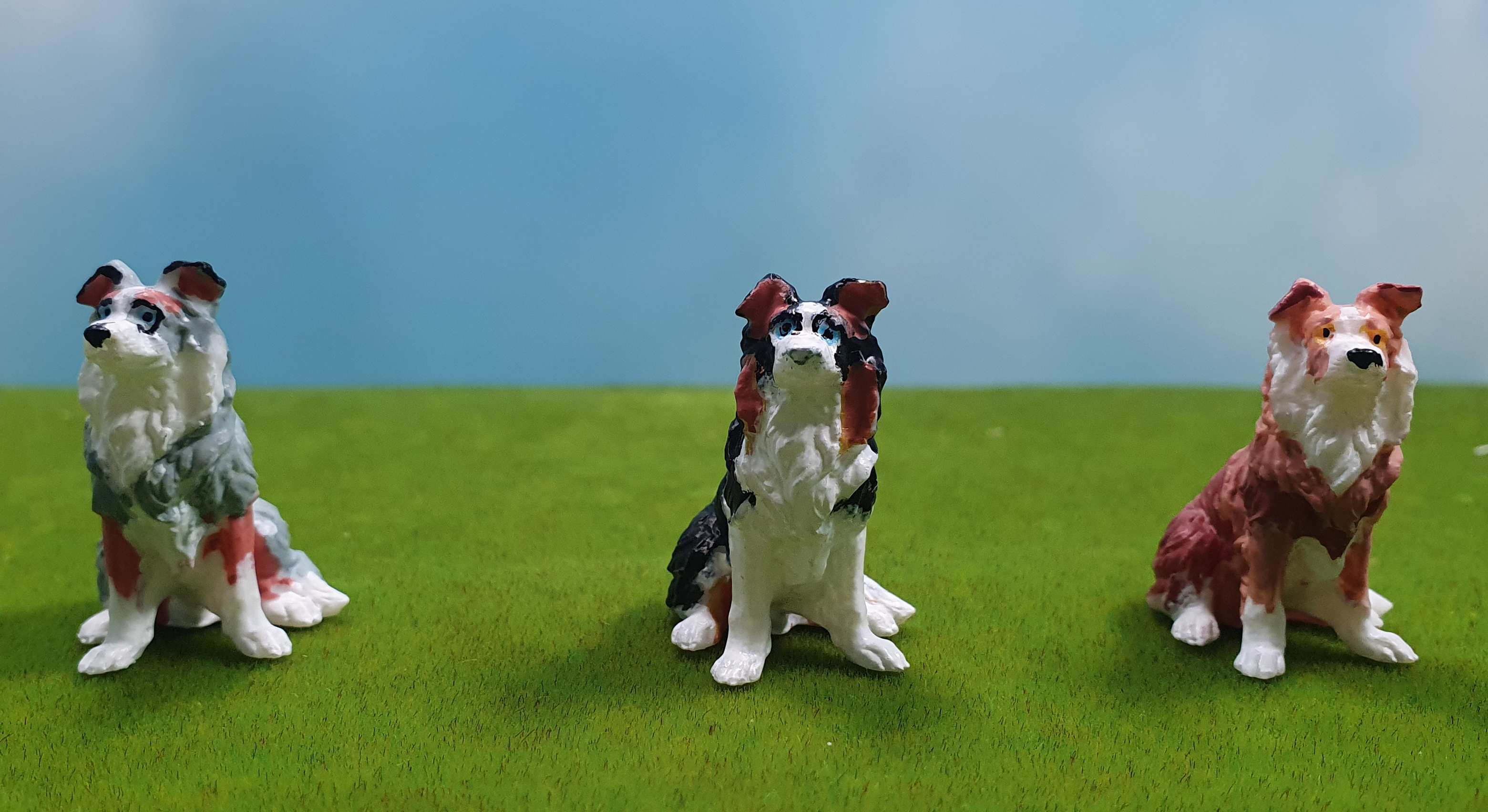 Border Collie Sam, Treu wartend, Handbemalte Tierfigur, drei Farbvarianten, Spur G · Maßstab 1:22,5, Verfügbarkeit: sofort lieferbar, Artikel-Nr.: 071-G-SAMII-F, Preis: 14,90 € inkl. MwSt., zzgl. Versand