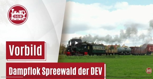 Dampflok Spreewald der DEV - Vorbild