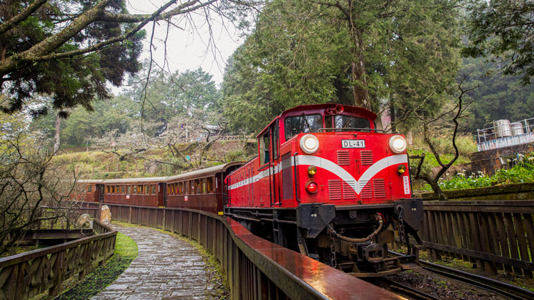 Die neue Partnerbahn der RhB. Die Alishan Forest Railway verläuft im Südwesten des zentralen Bergmassivs Taiwans: Sie beginnt in Chiayi City, führt durch Zhuqi und Meishan und endet in Alishan. Die Hauptlinie ist 71,4 Kilometer lang und weist eine Spurweite von 762 mm auf – typisch für Gebirgsbahnen, die steile und anspruchsvolle Landschaften überwinden müssen. Die Strecke durchquert eine eindrucksvolle Landschaft vom Tiefland bis ins Hochgebirge (40 bis 3’952 m.ü.M.) und verbindet dabei verschiedene Klimazonen.