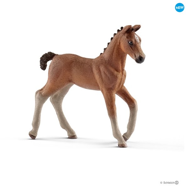 Schleich Artikelnummer: 13818, Hannoveraner Fohlen. Die Schleich Figuren sind alle detailgetreu modelliert, liebevoll handbemalt und stehen fr pdagogisch wertvolles Spielen. Hannoveraner-Fohlen erhalten auf die Hinterhand zwei Pferdekpfe als Brandzeichen. Jedoch nur, wenn beide Eltern eingetragene Zuchttiere sind. Hannoveraner sind sehr gelehrige, aufmerksame und ausgeglichene Pferde, die sich besonders fr den Spring- und Dressursport eignen. 