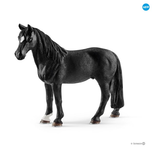 Schleich Artikelnummer: 13832, Wenn man einen Tennessee Walker von der Seite betrachtet, stehen seine Beine nicht gerade auf dem Boden, sondern schrg. Insbesondere an den Hinterbeinen fllt das auf. Die Stellung seiner Beine ermglicht ihm seine besonderen Gangarten: Walk, Running Walk und Kanter.